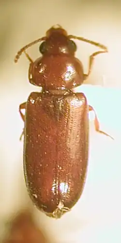 alternativní popis obrázku chybí