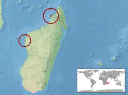 Areál rozšíření