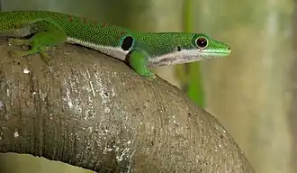 alternativní popis obrázku chybí