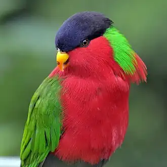 alternativní popis obrázku chybí