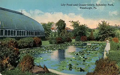 Pohlednice Aquatic Garden, 1915