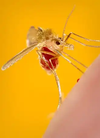 alternativní popis obrázku chybí