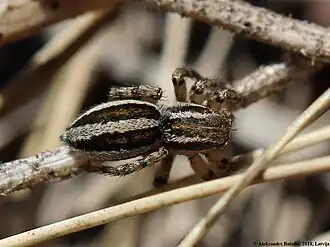 alternativní popis obrázku chybí