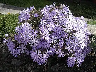 alternativní popis obrázku chybí