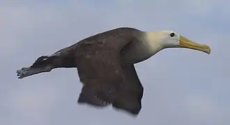 alternativní popis obrázku chybí