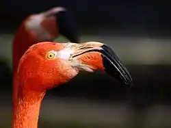 alternativní popis obrázku chybí