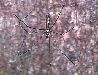 alternativní popis obrázku chybí