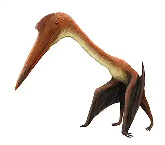 alternativní popis obrázku chybí