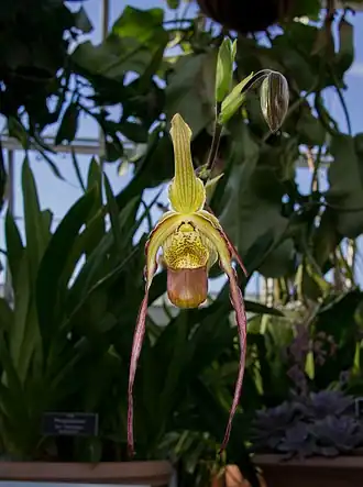 alternativní popis obrázku chybí