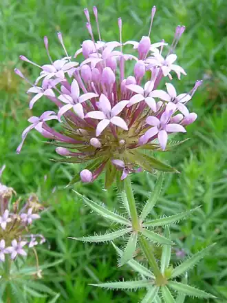 alternativní popis obrázku chybí