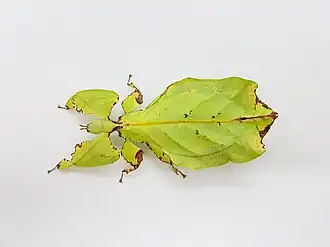 alternativní popis obrázku chybí