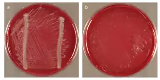 popis obrázku chybí
