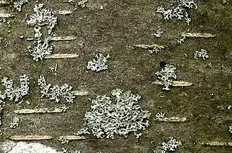 alternativní popis obrázku chybí