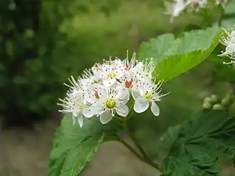 alternativní popis obrázku chybí