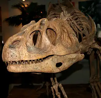 alternativní popis obrázku chybí