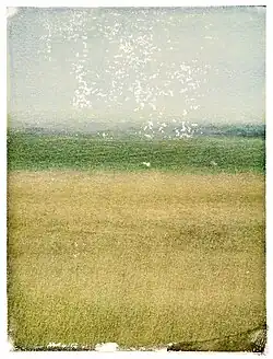 Pibe Moelle Transfer