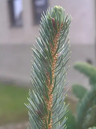 alternativní popis obrázku chybí