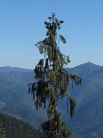 alternativní popis obrázku chybí