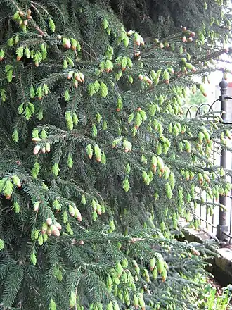 alternativní popis obrázku chybí