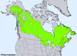 Areál rozšíření