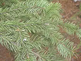 alternativní popis obrázku chybí