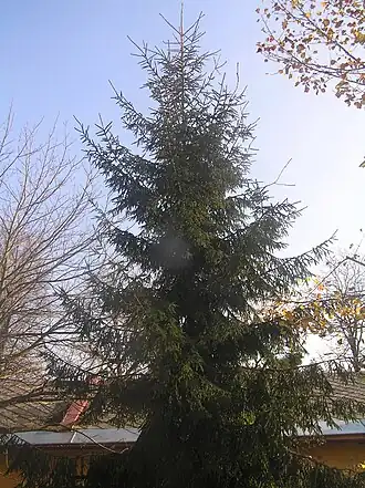 alternativní popis obrázku chybí