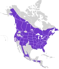 Areál rozšíření