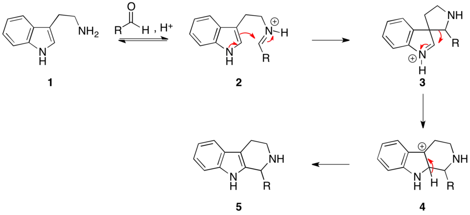 Mechanismus Pictetovy–Spenglerovy reakce