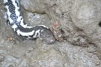 alternativní popis obrázku chybí