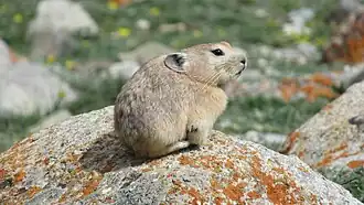 alternativní popis obrázku chybí