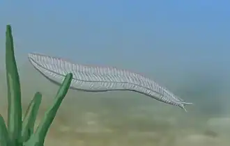 alternativní popis obrázku chybí