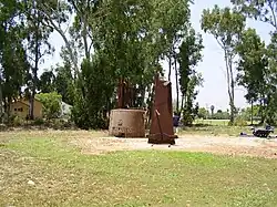 Sochy v parku v mošavu Burgeta