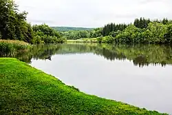 Šnajberský rybník na potoce Bystřice