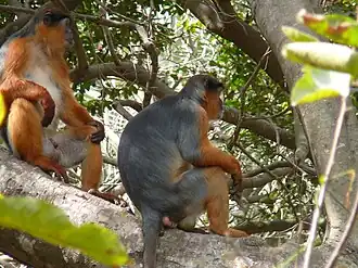 alternativní popis obrázku chybí