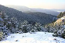 Pilis mountains Nagykovacsi