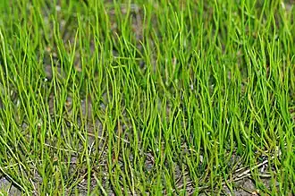 alternativní popis obrázku chybí