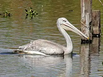 alternativní popis obrázku chybí