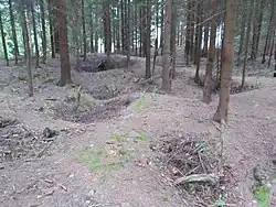 Pinky Schweitzer.jpg