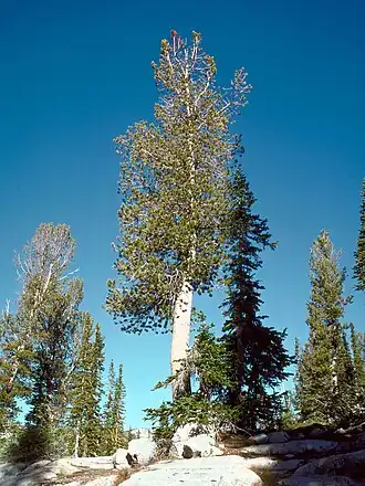 alternativní popis obrázku chybí