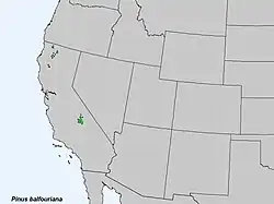 Areál rozšíření