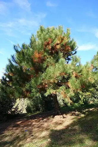 alternativní popis obrázku chybí