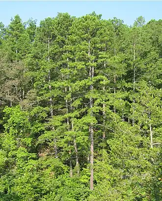 alternativní popis obrázku chybí