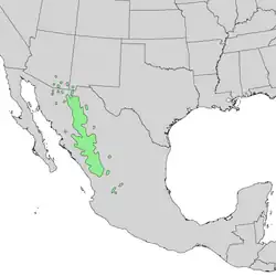 Areál rozšíření