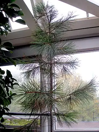 alternativní popis obrázku chybí