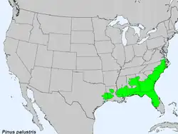 Areál rozšíření