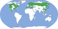Areál rozšíření