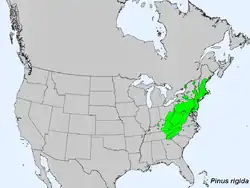 Areál rozšíření