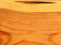 Dřevěná deska s typickou kresbou letokruhů