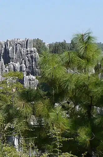 alternativní popis obrázku chybí