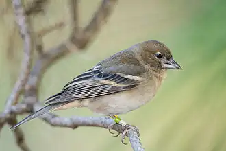 alternativní popis obrázku chybí